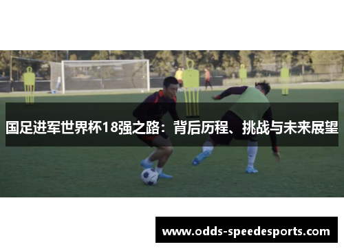 国足进军世界杯18强之路：背后历程、挑战与未来展望