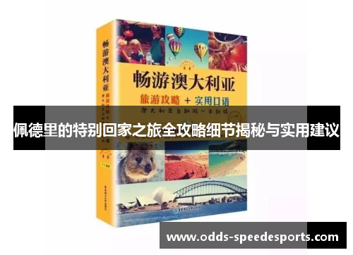 佩德里的特别回家之旅全攻略细节揭秘与实用建议