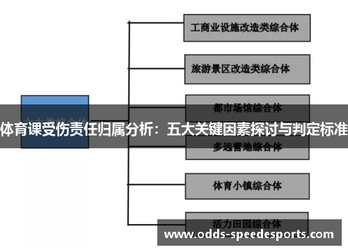 体育课受伤责任归属分析：五大关键因素探讨与判定标准
