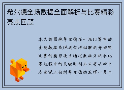 希尔德全场数据全面解析与比赛精彩亮点回顾