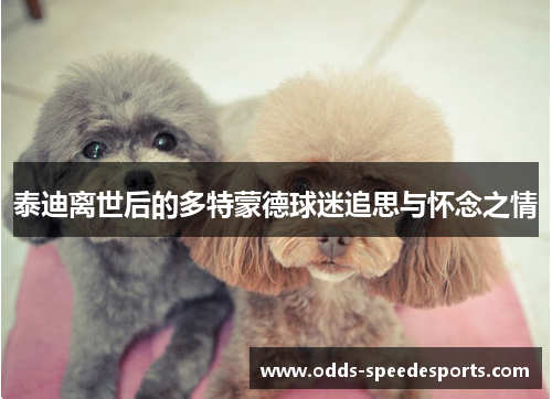 泰迪离世后的多特蒙德球迷追思与怀念之情