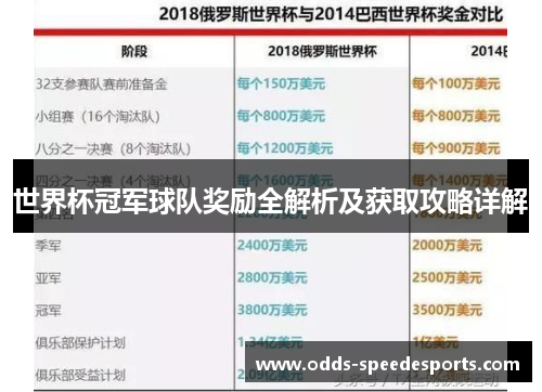 世界杯冠军球队奖励全解析及获取攻略详解