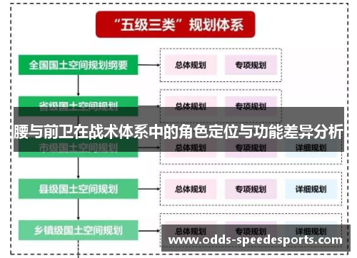 腰与前卫在战术体系中的角色定位与功能差异分析