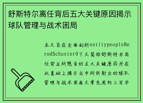 舒斯特尔离任背后五大关键原因揭示球队管理与战术困局