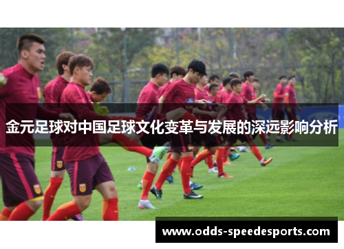 金元足球对中国足球文化变革与发展的深远影响分析