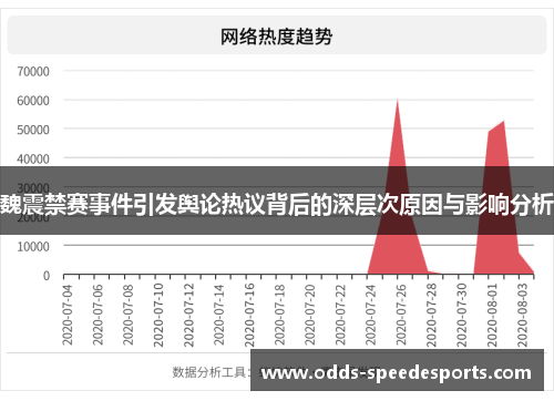 魏震禁赛事件引发舆论热议背后的深层次原因与影响分析