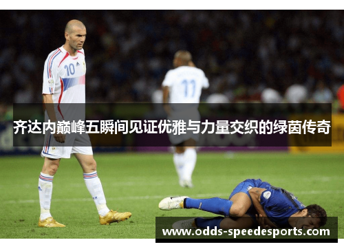 齐达内巅峰五瞬间见证优雅与力量交织的绿茵传奇